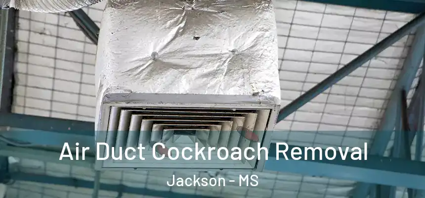 Air Duct Cockroach Removal Jackson - MS