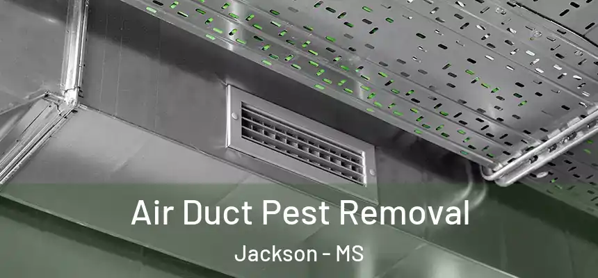 Air Duct Pest Removal Jackson - MS