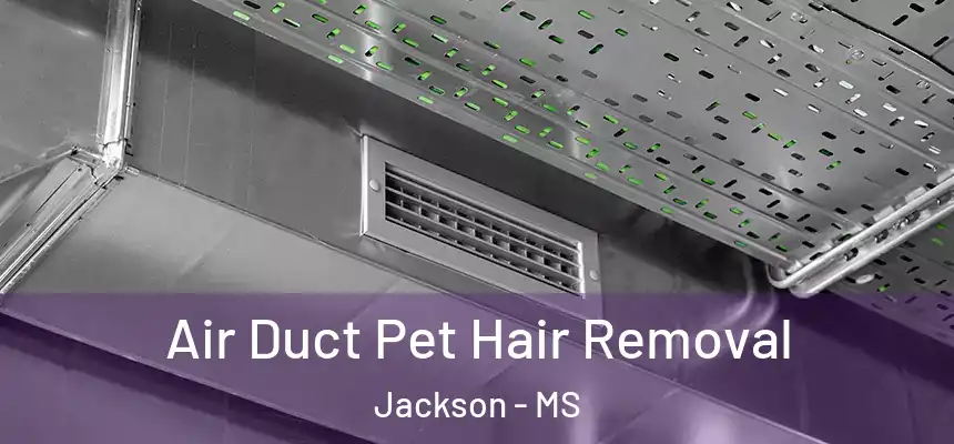 Air Duct Pet Hair Removal Jackson - MS