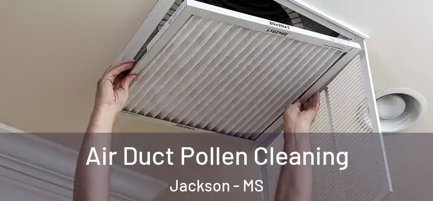 Air Duct Pollen Cleaning Jackson - MS