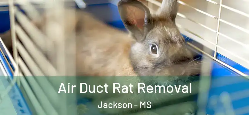 Air Duct Rat Removal Jackson - MS