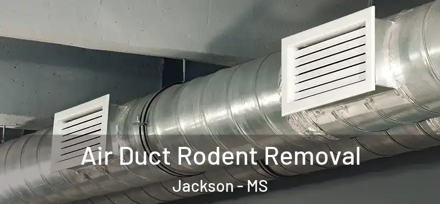 Air Duct Rodent Removal Jackson - MS