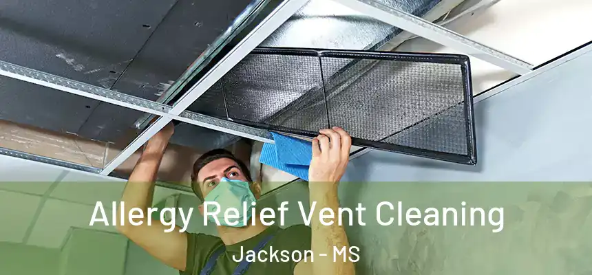 Allergy Relief Vent Cleaning Jackson - MS