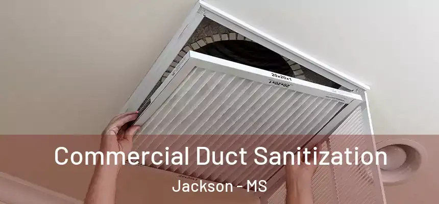Commercial Duct Sanitization Jackson - MS