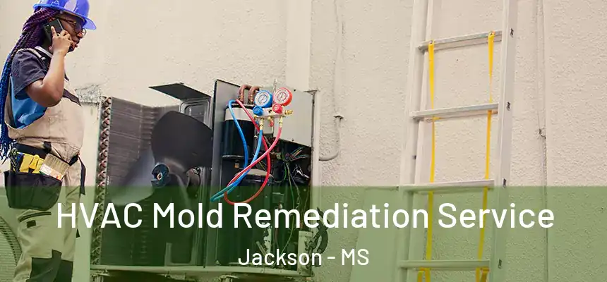HVAC Mold Remediation Service Jackson - MS