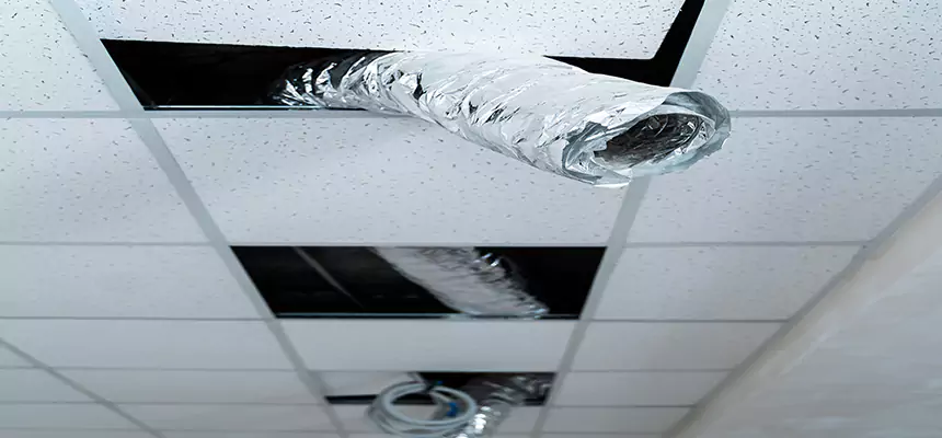 Our Air Duct Pet Hair Removal Services in Jackson, MS