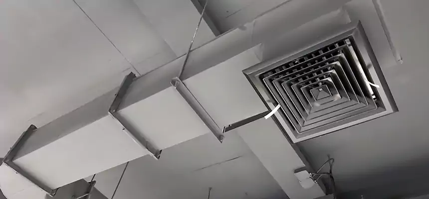 Our Pest Removal From Ducts Services in Jackson, MS