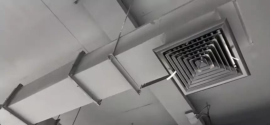 Our Rodent Droppings In Vents Services in Jackson, MS