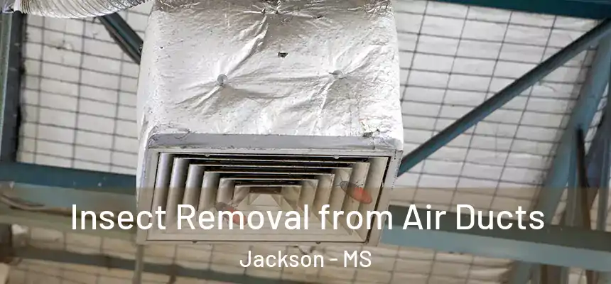 Insect Removal from Air Ducts Jackson - MS