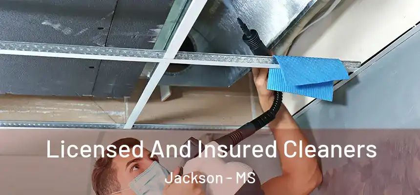 Licensed And Insured Cleaners Jackson - MS