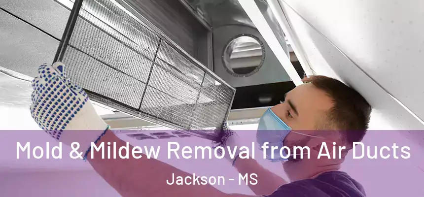 Mold & Mildew Removal from Air Ducts Jackson - MS
