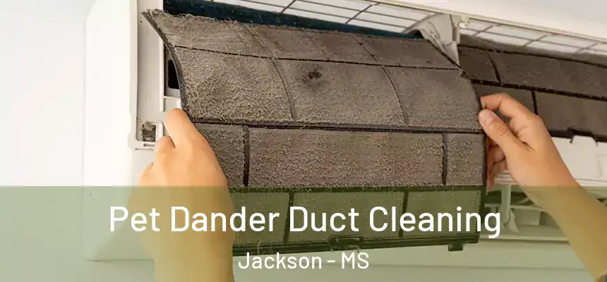 Pet Dander Duct Cleaning Jackson - MS