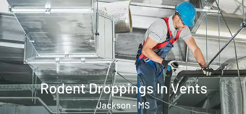 Rodent Droppings In Vents Jackson - MS
