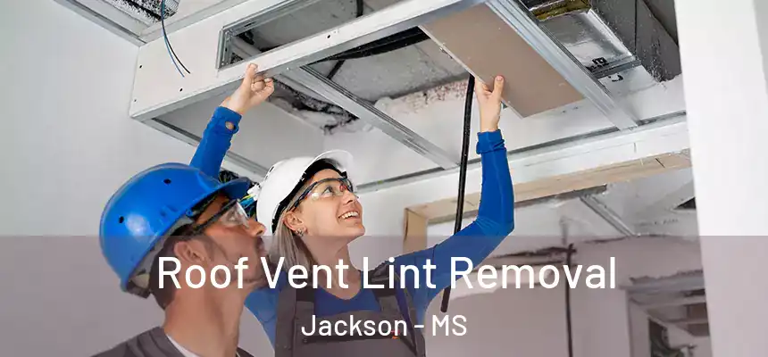 Roof Vent Lint Removal Jackson - MS