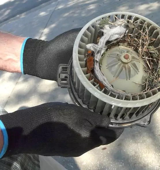 About Air Duct Rat Removal in Jackson, MS