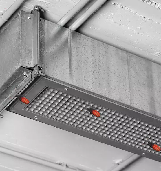 Affordable Insect Removal from Air Ducts in Jackson, MS