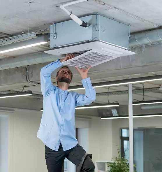 Advanced Rodent Droppings In Vents in Jackson, MS