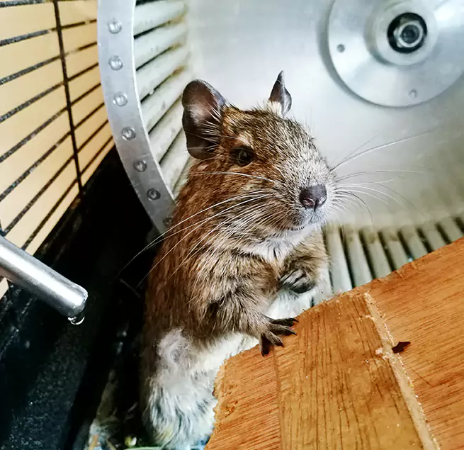 Why Homeowners & Businesses Trust Us Jackson, MS