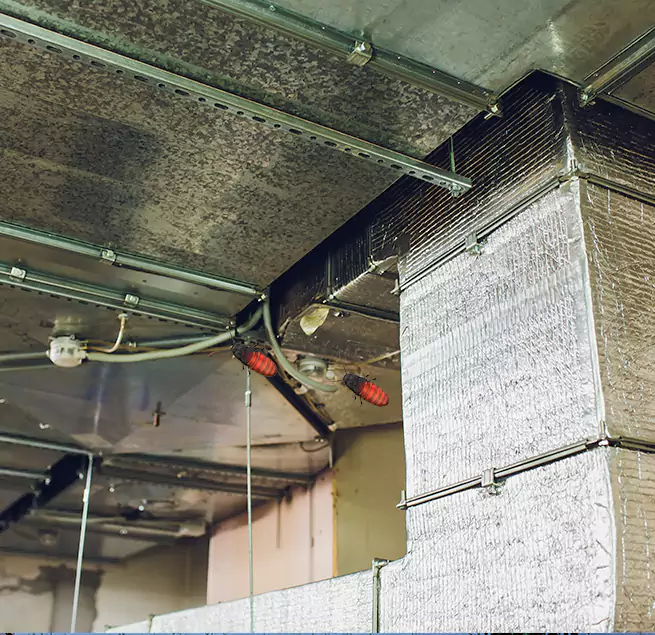 Why Homeowners & Businesses Trust Us Jackson, MS?