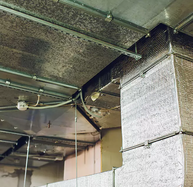 Why Homeowners & Businesses Trust Us in Jackson, MS?